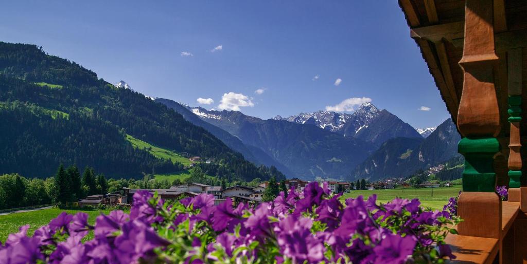 Villa Haidacher Relax & Lifestyle Apartments Zell am Ziller Room photo